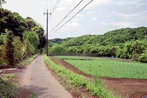 小野路の畑道 小野路の畑道