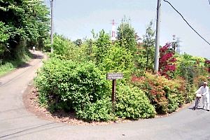 真光寺町との境のあたり 真光寺町との境のあたり