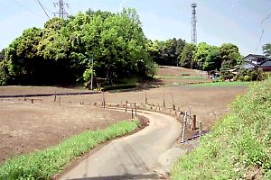 箱庭のような畑地 箱庭のような畑地