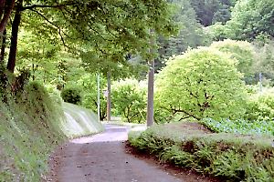 小野路の畑道 小野路の畑道