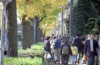 甲州街道 甲州街道