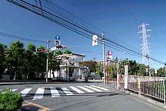 uӊwZv_