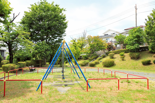 荏田北の百日紅並木 荏田北の百日紅並木
