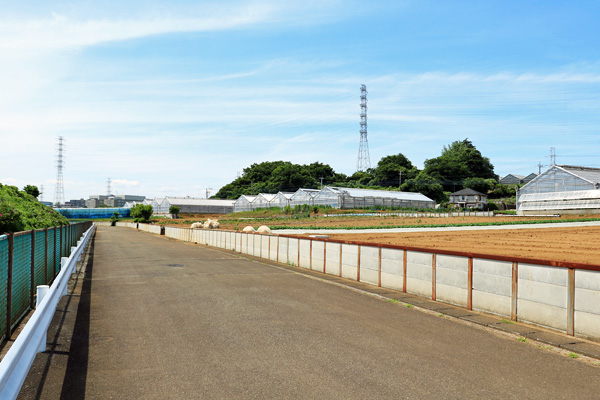 大熊川あじさい緑道 大熊川あじさい緑道