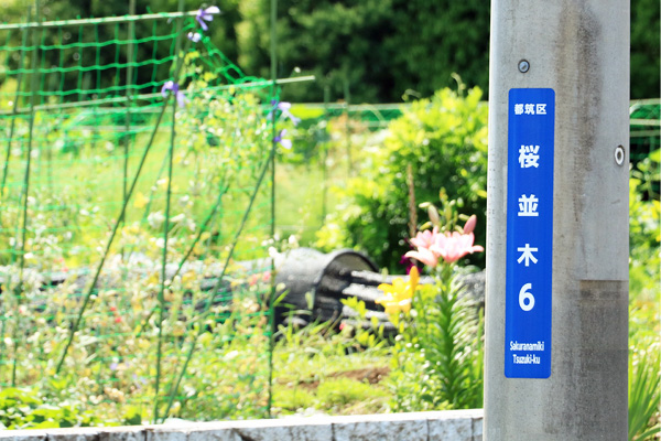 大熊川あじさい緑道 大熊川あじさい緑道