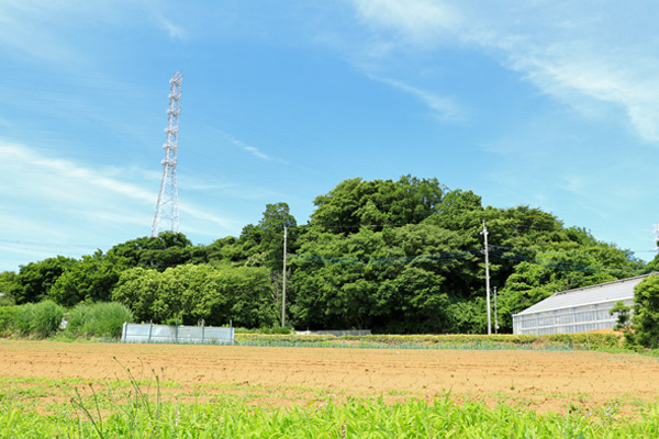 大熊川あじさい緑道 大熊川あじさい緑道