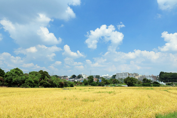 岩川(宮下橋〜御前田橋) 岩川(宮下橋〜御前田橋)