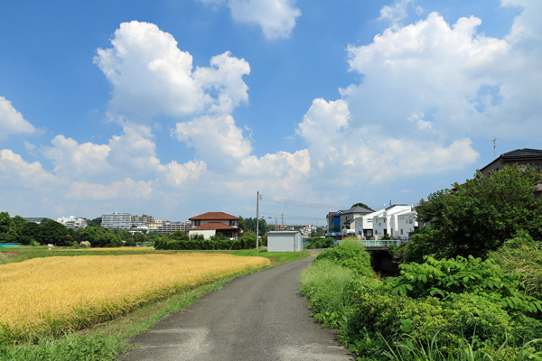 岩川(宮下橋〜御前田橋) 岩川(宮下橋〜御前田橋)