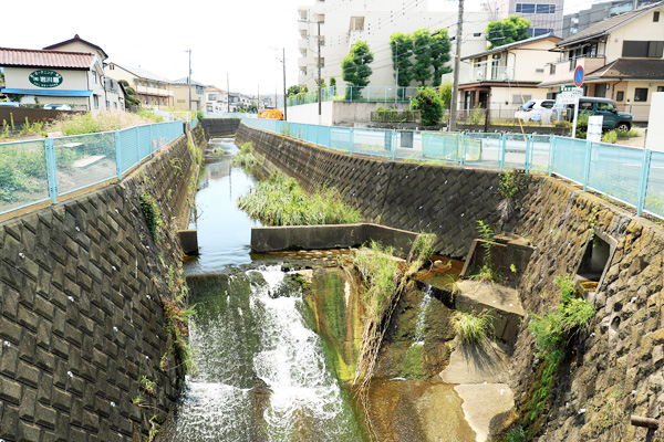 岩川(宮下橋〜御前田橋) 岩川(宮下橋〜御前田橋)
