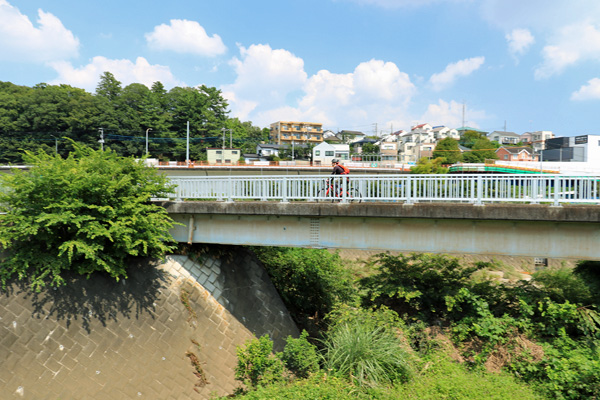 岩川(宮下橋〜御前田橋) 岩川(宮下橋〜御前田橋)