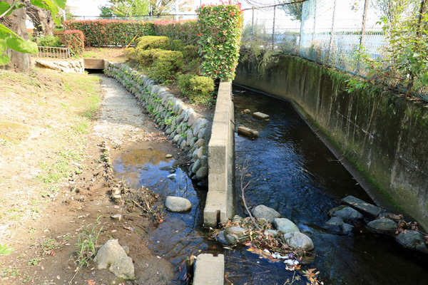 �약�p���i�㗬���j