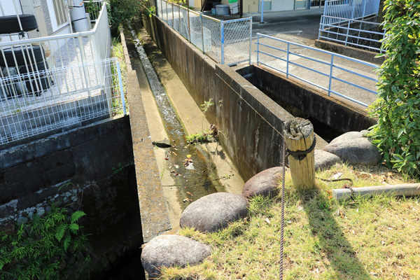 �약�p���i�㗬���j