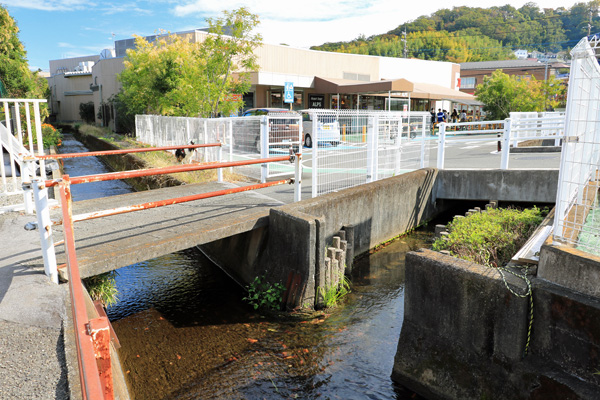 �약�p���i�㗬���j