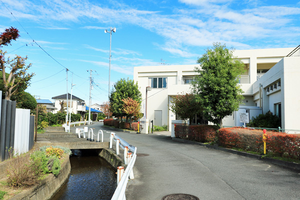 �약�p���i�㗬���j