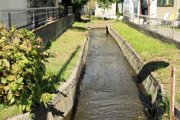 �약�p���i�㗬���j