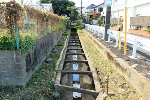 �약�p���i�㗬���j