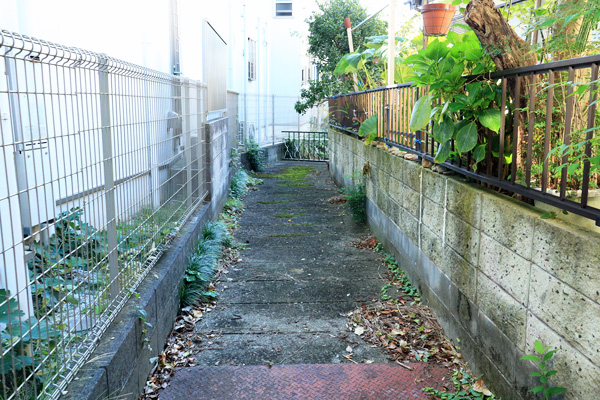 �약�p���i�㗬���j