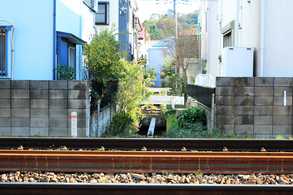 �약�p���i�㗬���j