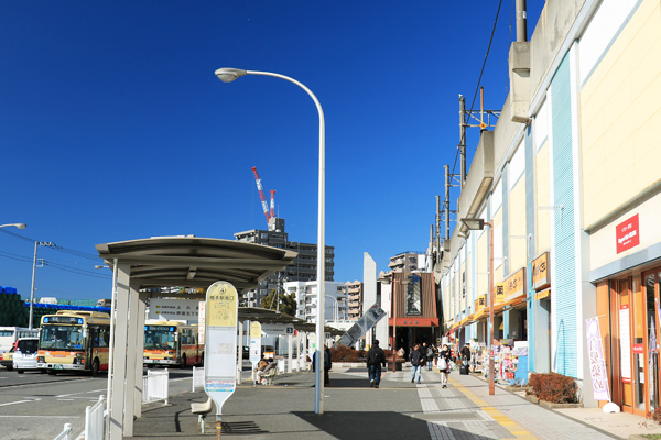 ���{�w�������