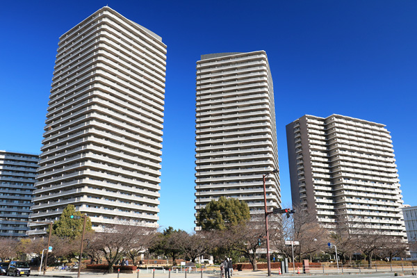 ���{�w�������