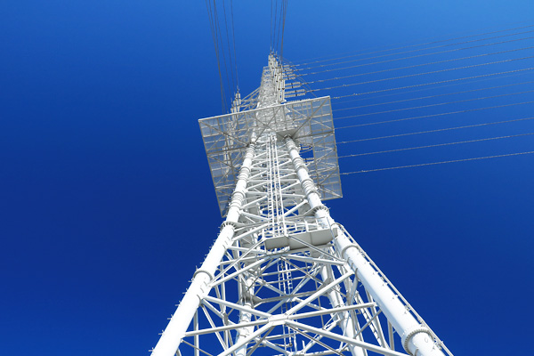 ���{�w�������