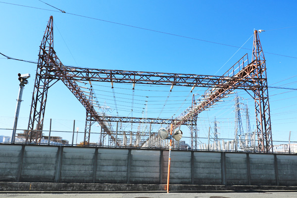 ���{�w�������