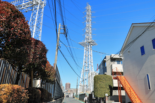 ���{�w�������