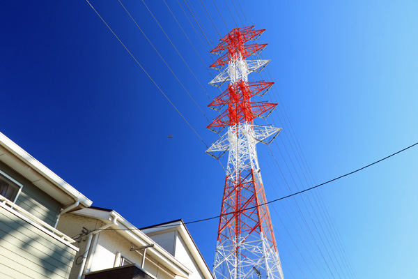 ���{�w�������