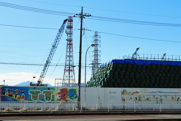 ���{�w�������