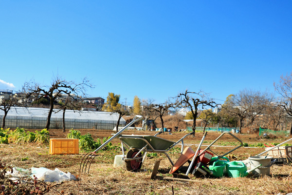 ���J�{���i���l�tJCT�j