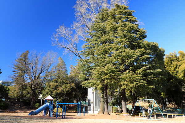 ���J�{���i���l�tJCT�j