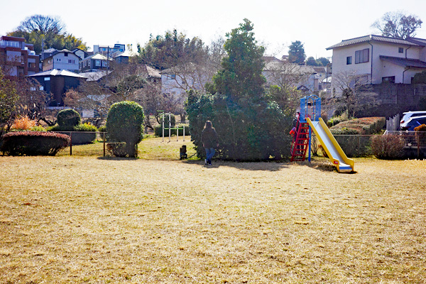 �ߌ���͔ȁi����`�O�ցj