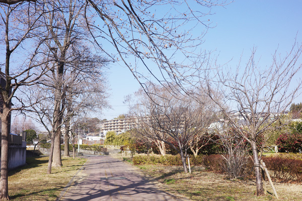 �ߌ���͔ȁi����`�O�ցj