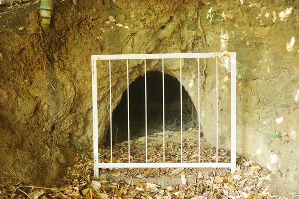 �ߌ���͔ȁi����`�O�ցj