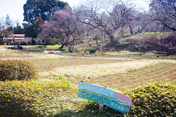 �ߌ���͔ȁi����`�O�ցj