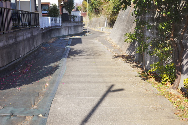 �ߌ���͔ȁi����`�O�ցj