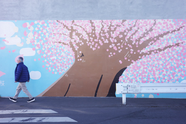 鶴見川河畔(岡上〜三輪) 鶴見川河畔(岡上〜三輪)