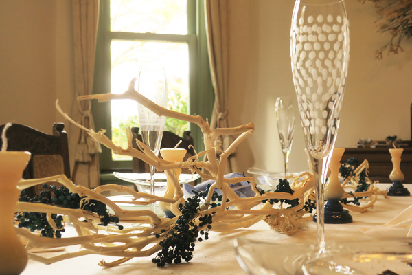 �R�萼�m�ِ��E�̃N���X�}�X